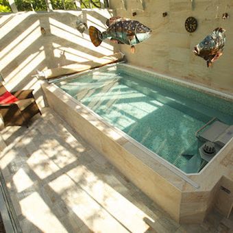 Endless Pools Distributor Home Counties Wins 2 Awards